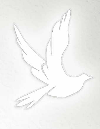 Joan Zdrada Obituary